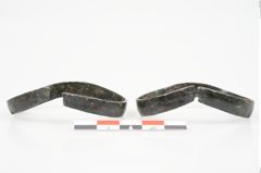 Foto von Bronzeschaukelfußreif (NHMW-PRAE-026220)